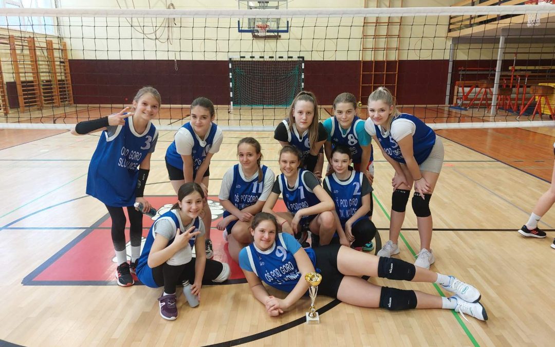 Odbojkarice osvojile mini pokal