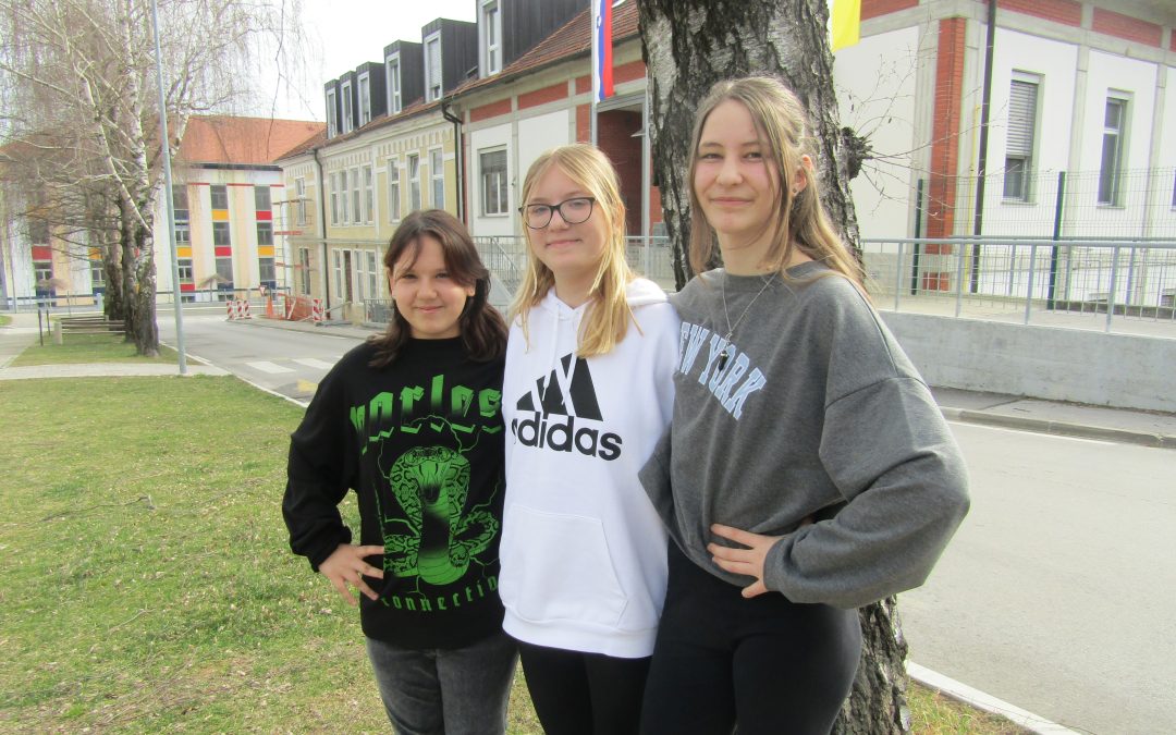 Patriciji in Viti srebrno priznanje iz angleščine