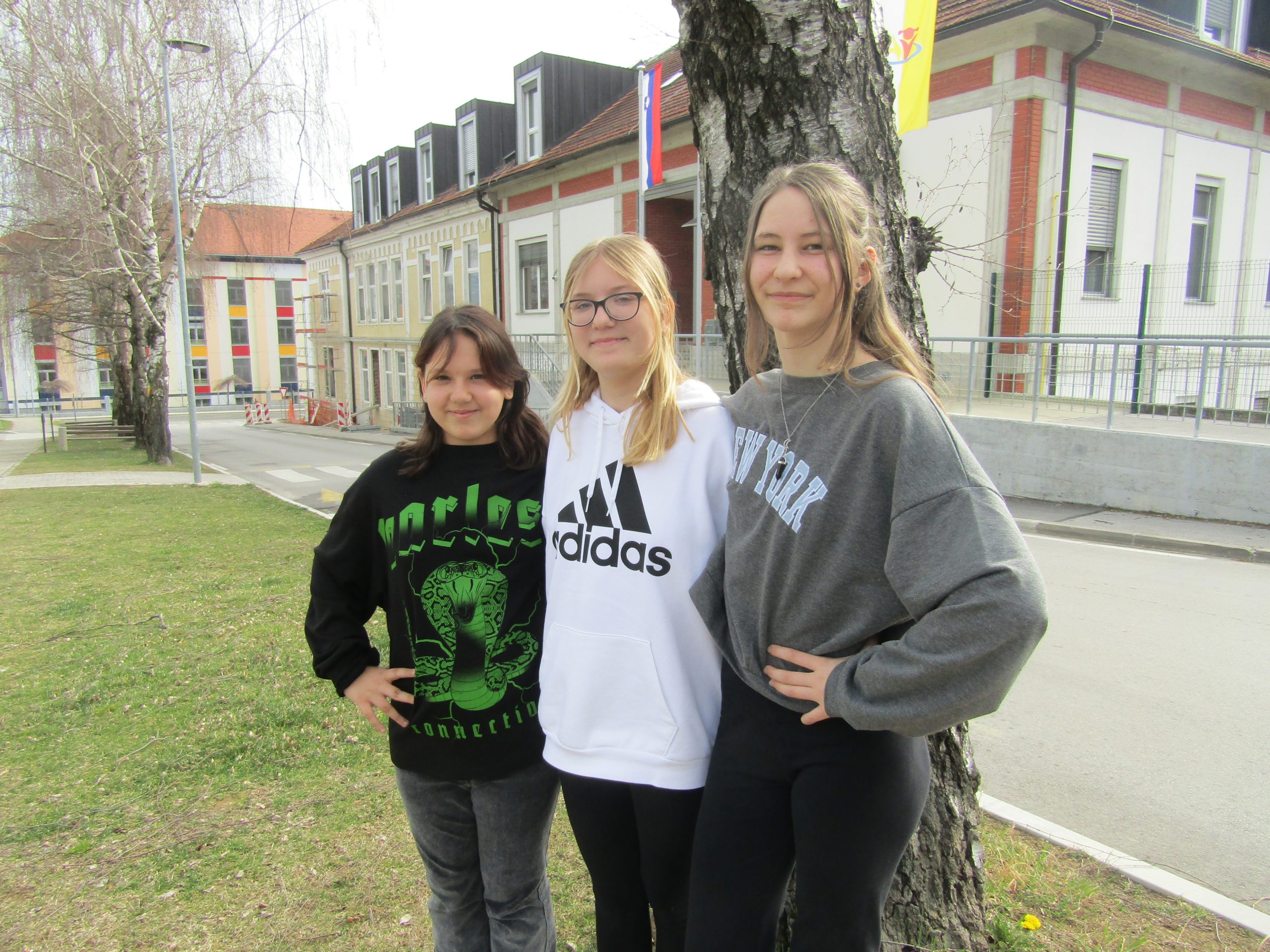 prikazna