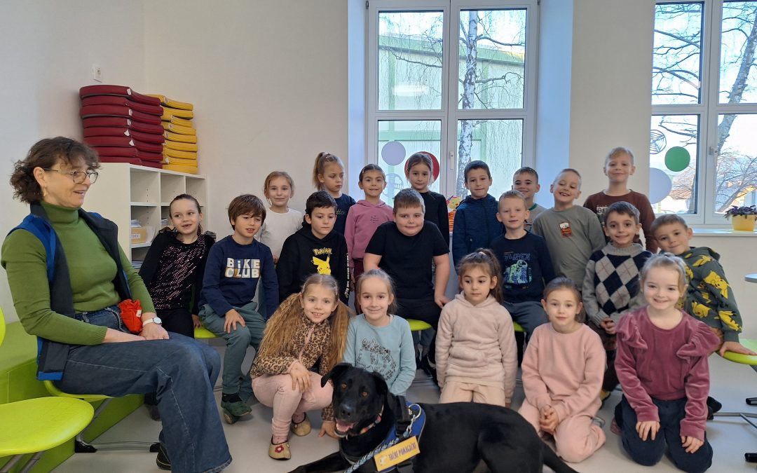 Psička Luna pri uri matematike